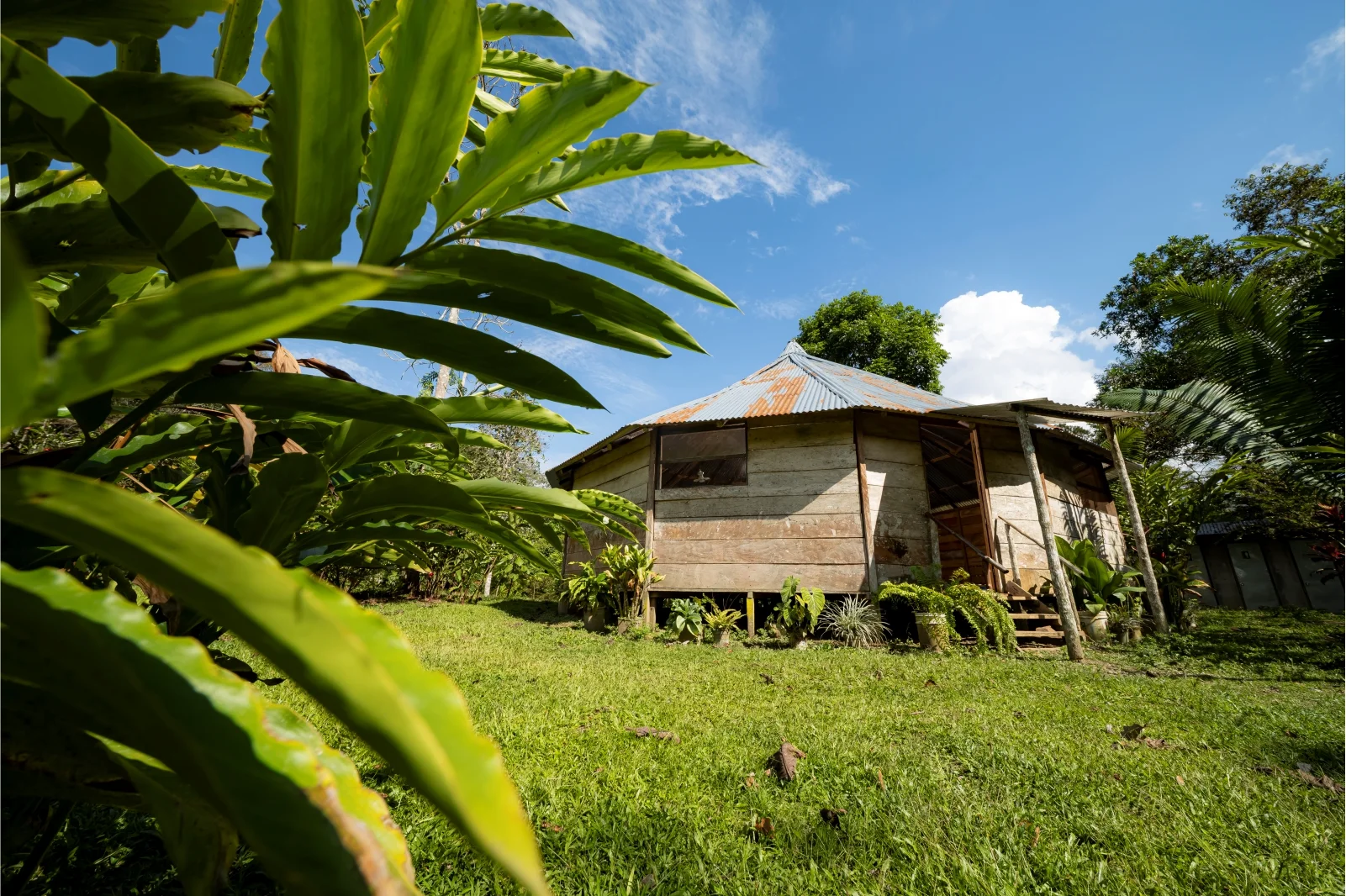 Una maestría personal